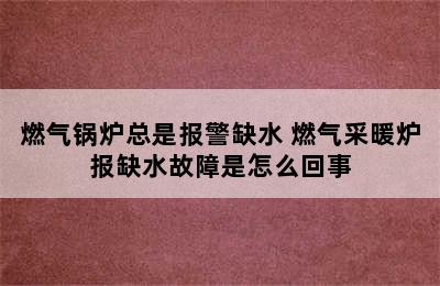 燃气锅炉总是报警缺水 燃气采暖炉报缺水故障是怎么回事